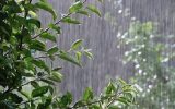 سازمان هواشناسی اعلام کرد؛ تشدید بارش‌ باران در روزهای پایانی فصل تابستان